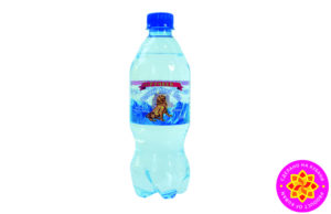 Вода питьевая природная артезианская газированная «Горячий ключ 2006».