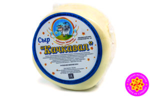 Сыр «Качкавал» с массовой долей жира в сухом веществе 40,0%